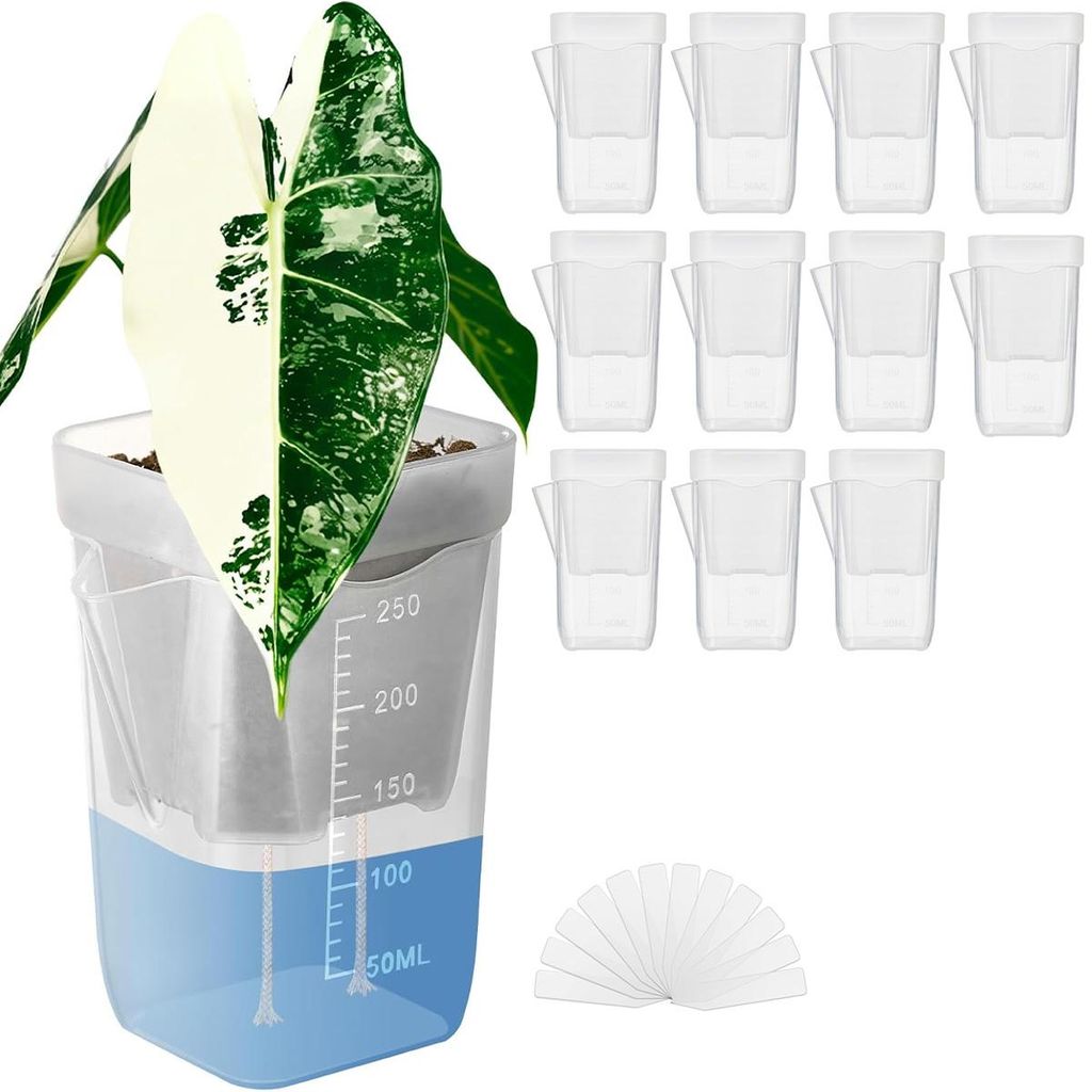 12 transparente Anzuchttöpfe mit Etikett – Quadratische Pflanztöpfe aus Plastik für Setzlinge, ideal als Pflanzgefäße für die Pflanzenaufzucht