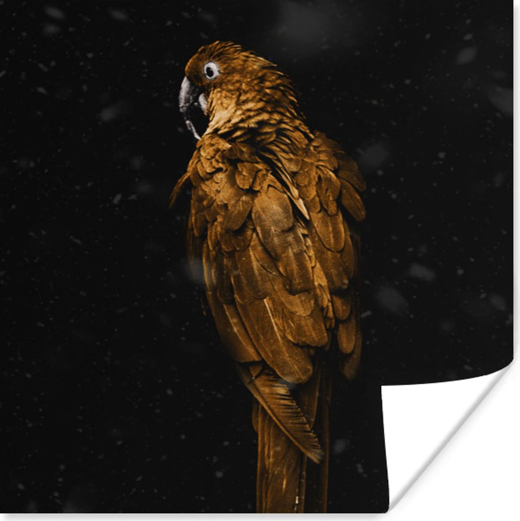 MuchoWow Poster Papagei - Gold - Schwarz 75x75 cm - Wand Dekoration