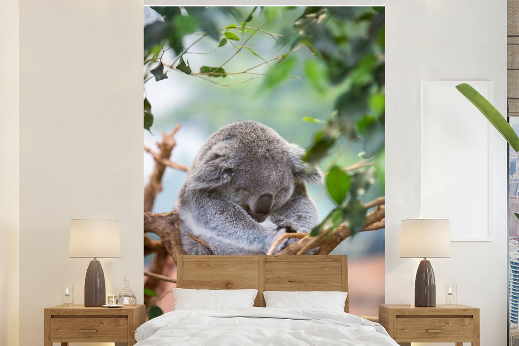 MuchoWow Fototapete für Wohnzimmer oder Schlafzimmer Wandtapete Vinyl Motivtapete Koala - Zweige - Kinder - Jungen - Mädchen - 145x220 cm - Wan...