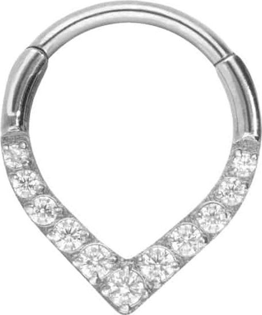 Ohrpiercing, Nasenpiercing, Septum Piercing Titan Segmentring Clicker SPITZ + 11 EINGEFASSTE KRISTALLE