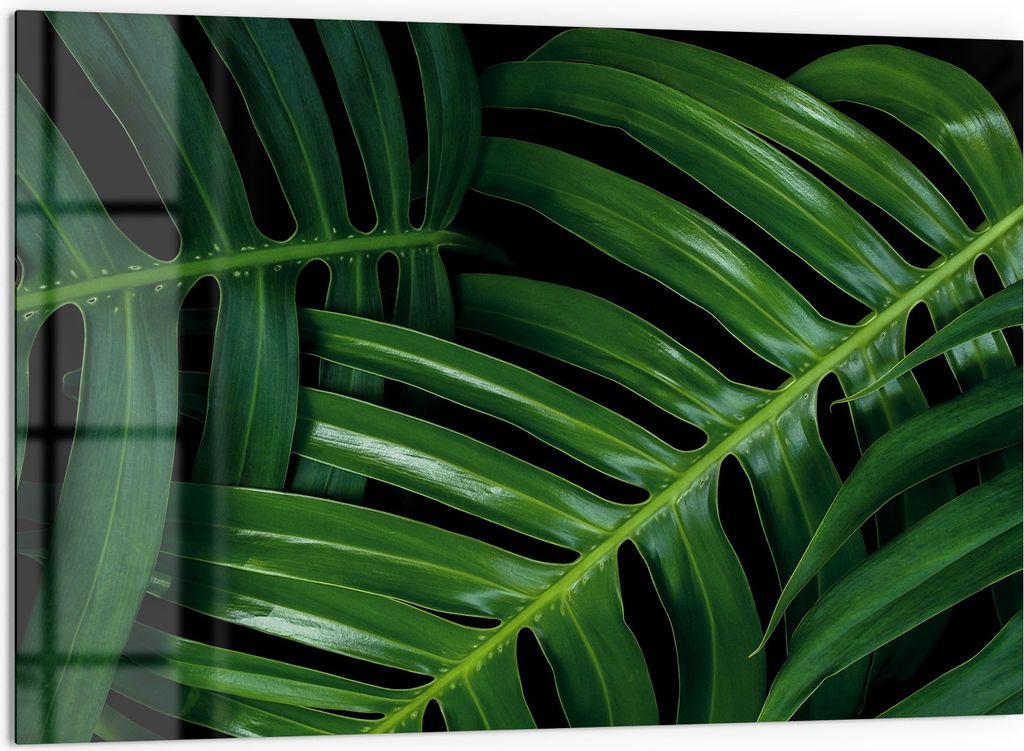 DEQORI Küchenrückwand Glas 60x40 cm 'Grüne Blattadern' Spritzschutz Bad Rückwand Küche