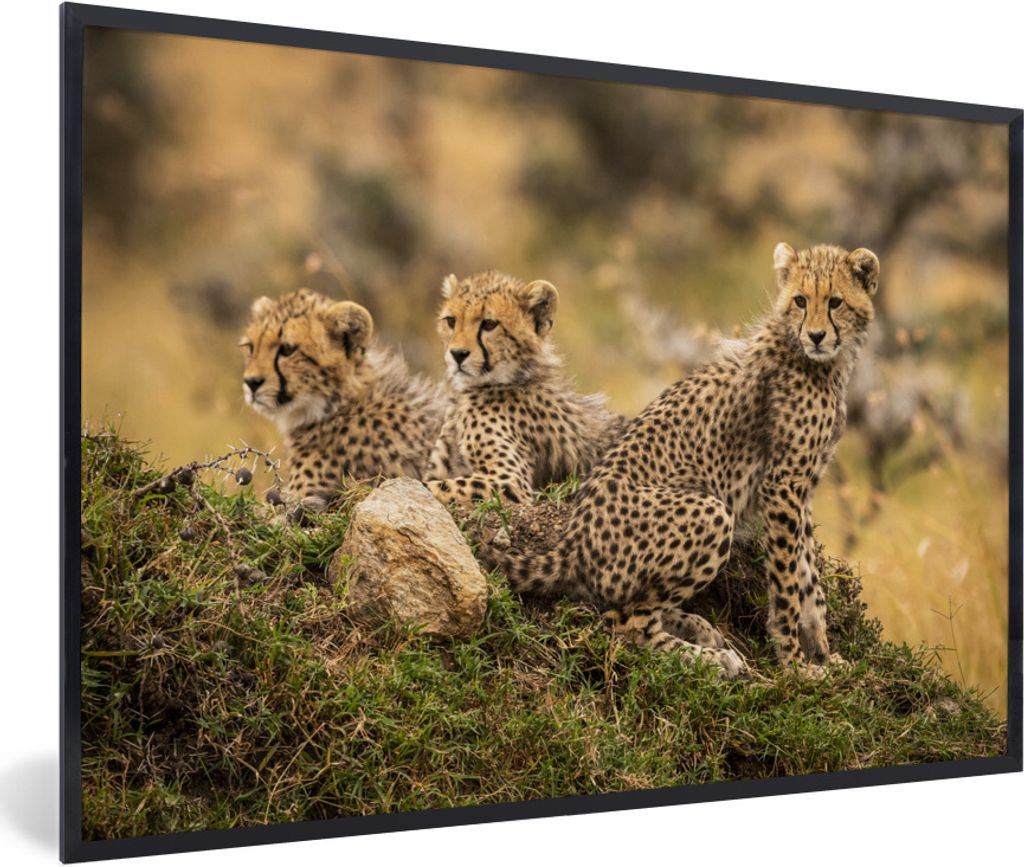 MuchoWow MuchoWow Gerahmtes Poster Leopard - Wald - Tier 30x20 cm - Poster mit zchwarzem Bilderrahmen - Kunstdruck - Bild-Poster