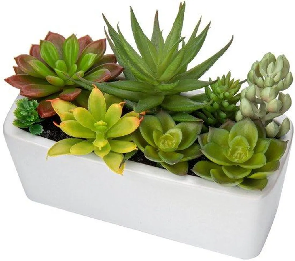 Plante artificielle en pot céramique pour rebord de fenêtre et salon