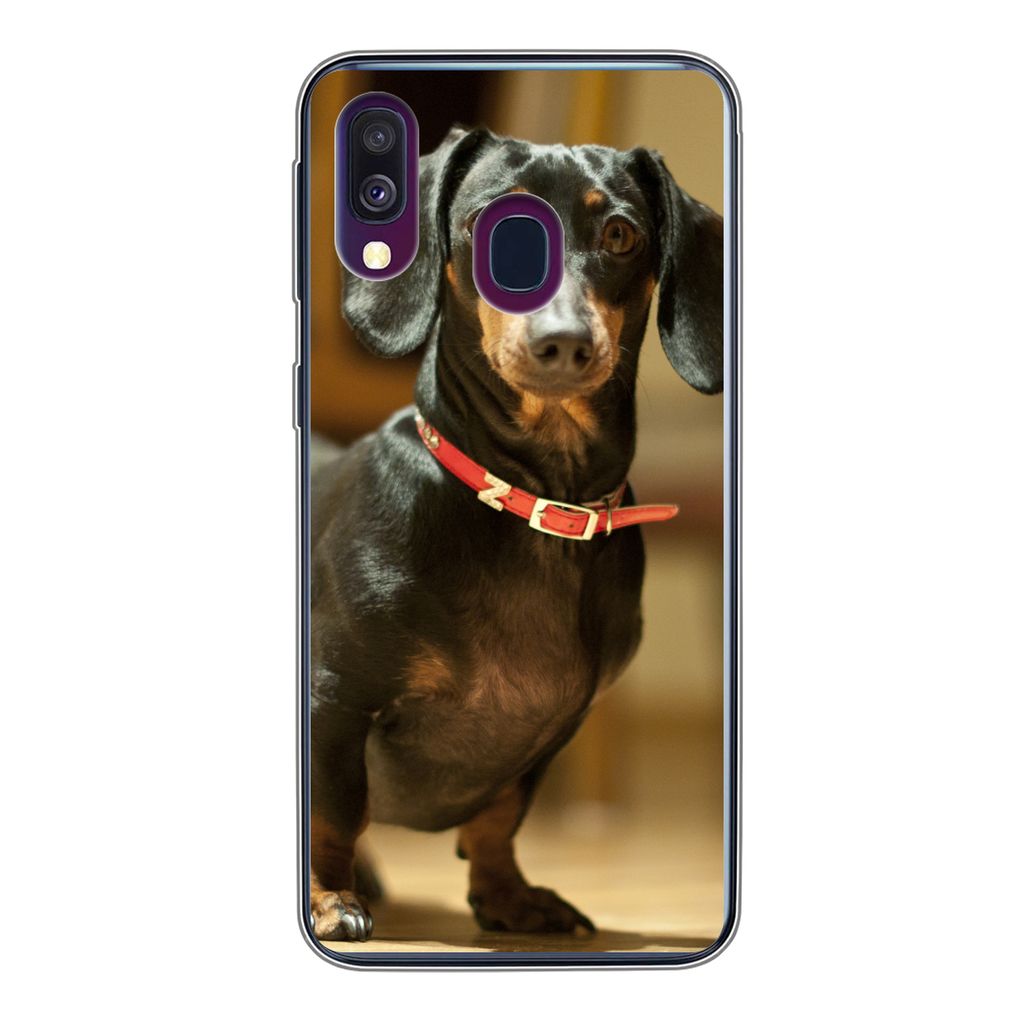 MuchoWow Handyhülle Schutzhülle Hülle für Samsung Galaxy A40 Porträt eines schwarzen Dackels Silikon Softcase Handy Hülle - Handy-Tasche