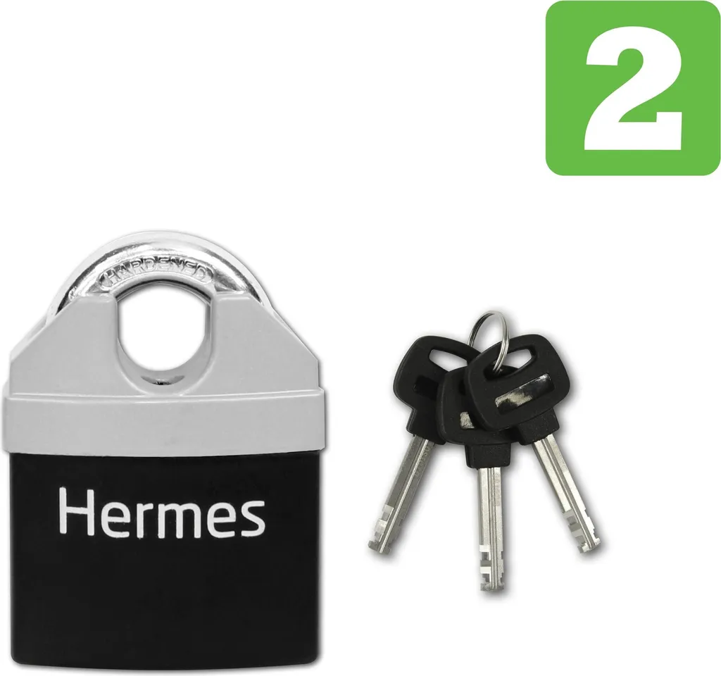 Mitigeur évier de cuisine avec bec pivotant Richter tchèque HERMES 65