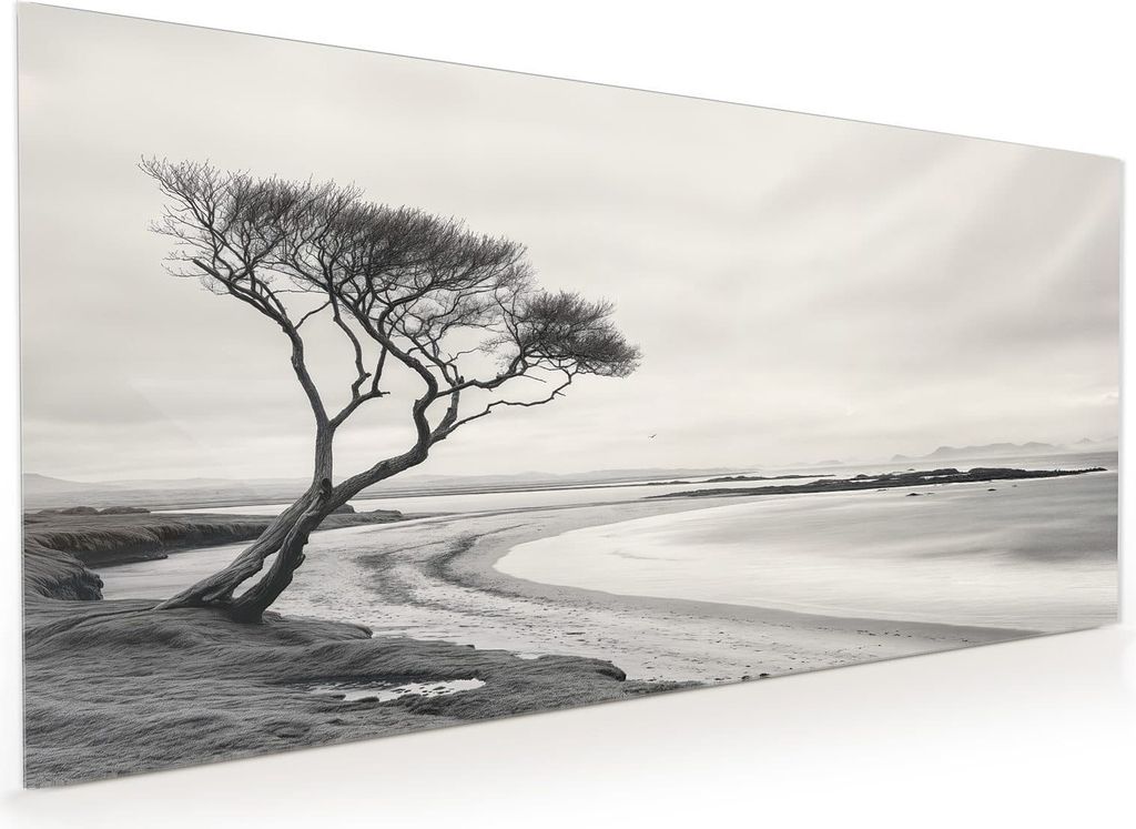 Küchenrückwand Spritzschutz Glas mit Motiv Einsamer Baum am Meer 40 x 40 cm