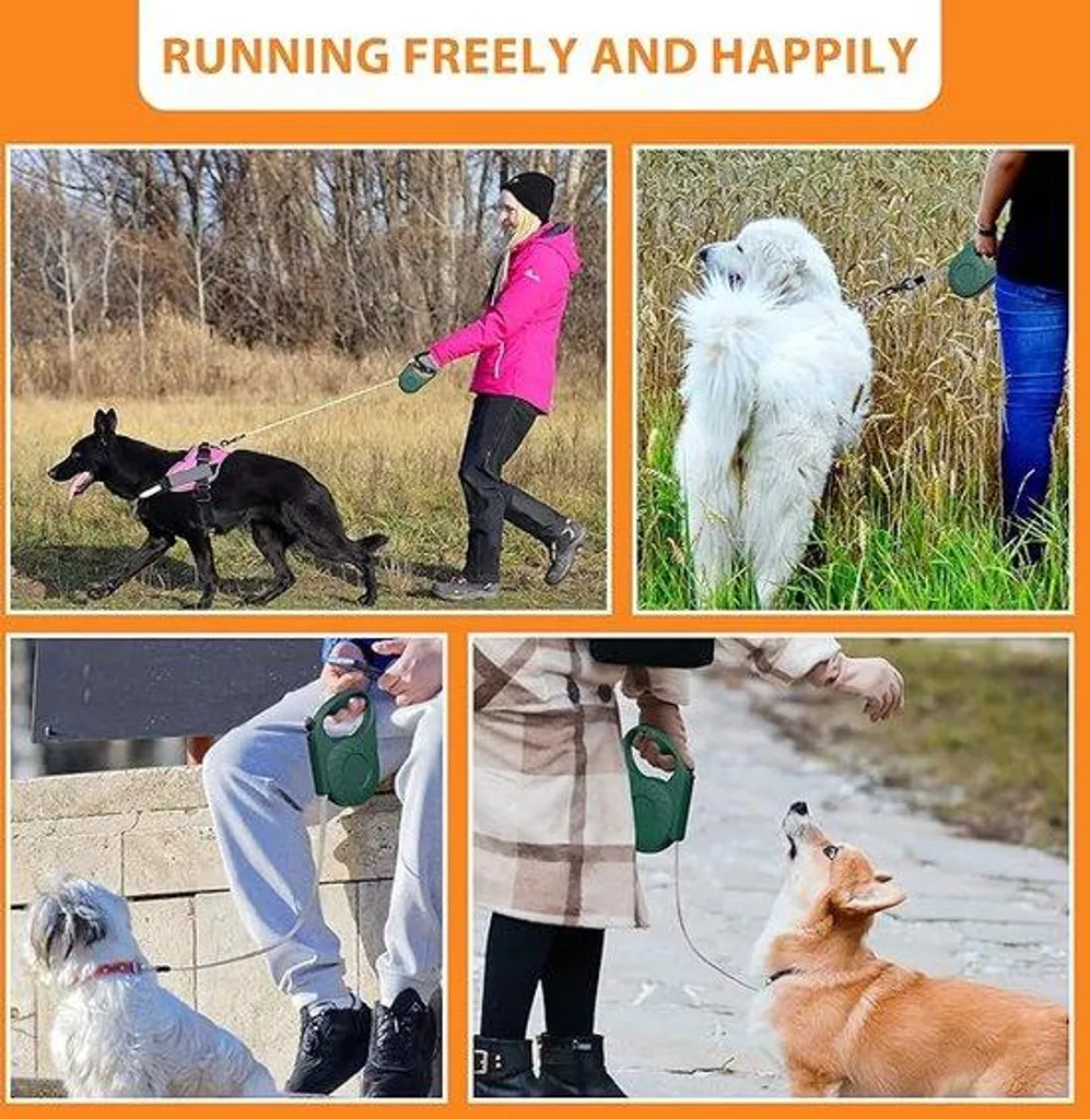 Laisse extensible pour chien : fini les sangles emmêlées lors des sorties