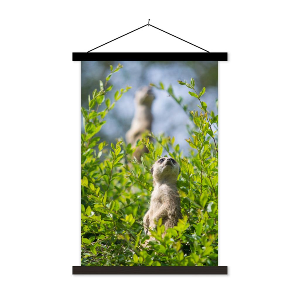 MuchoWow Textilposter Büsche - Erdmännchen - Tier 60x90 cm mit schwarzem Rahmen - Poster Wohnzimmer