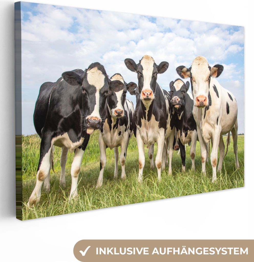 MuchoWow - Leinwandbilder - Kühe - Weide - Tiere - Natur - Gras, Wandbild, Wanddeko Bilder Wohnzimmer, 120x80 cm