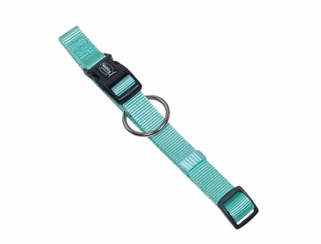 Nobby Classic Collare Menta 40-55 cm | Stile Minimal per il tuo Cane