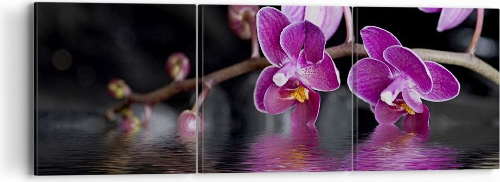 Bild auf Leinwand - Leinwandbild - Asien exotisch orchidee blume - 90x30cm - Wand Bild - Wanddeko - Leinwanddruck - Bilder - Kunstdruck - Wanddekor...
