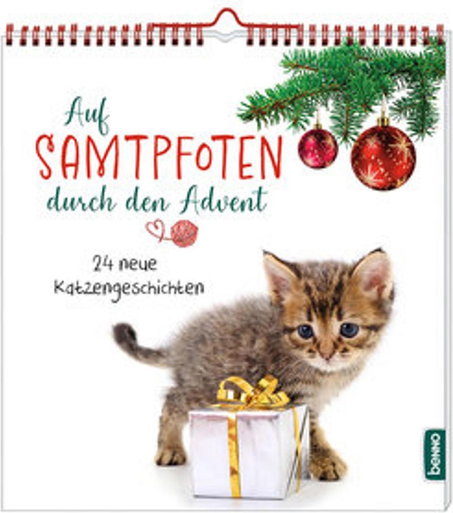 Auf Samtpfoten durch den Advent