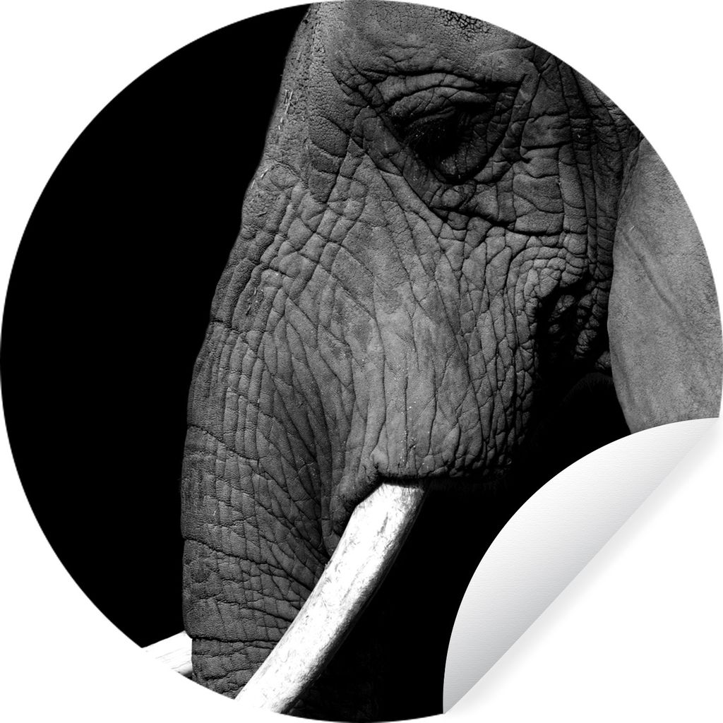 MuchoWow Runde Wandtattoo - Wandsticker Tapete Aufkleber Elefant - Grau - Schwarz - Weiß Ø 30 cm Selbstklebend und Repositionierbar - Wandaufkl...