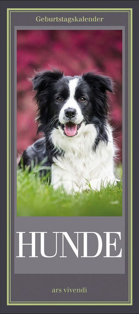 Geburtstagskalender Hunde, immerwährend