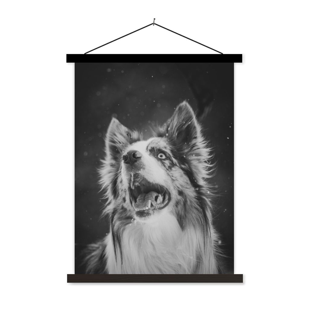 MuchoWow Textilposter Tierporträt Border Collie in Schwarz und Weiß 120x160 cm mit schwarzem Rahmen - Magnetischer