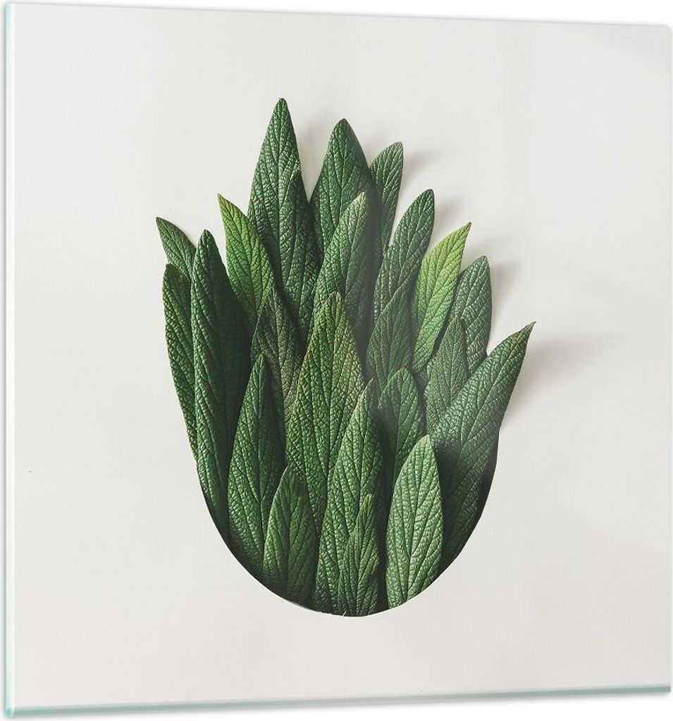 Bilder auf glas - Einteilig - Salbei Medizin Blätter - 70x70cm - Glasbilder - Wandbilder - Bilder - zum Aufhängen bereit - Wanddekoration aus Gla...