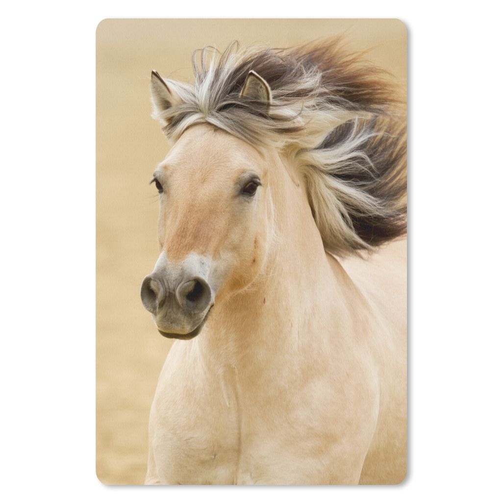 MuchoWow Mauspad Mousepad Pferde - Tiere - Mähne - Porträt 40x60 cm - Mousepads - Maus Mat - Pad - Mausunterlage - Schreibtisch Accesoire