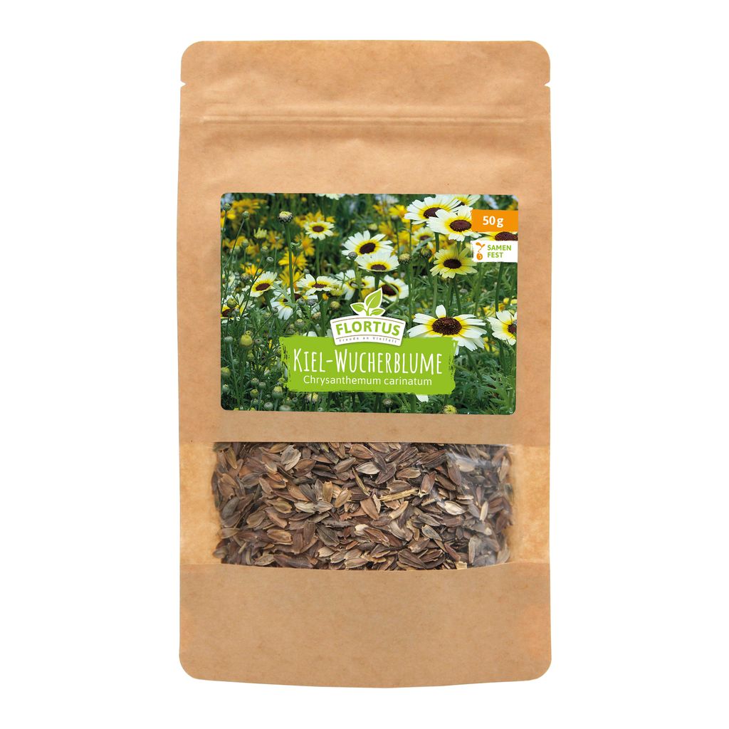 Wiesenblume Kiel-Wucherblume (50 g) | Chrysanthemensamen von FLORTUS