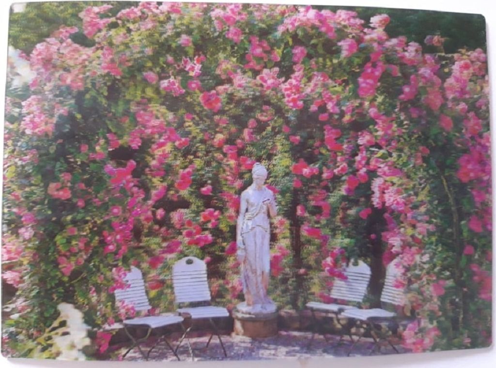 3 D Ansichtskarte Rosen, Postkarte Wackelkarte Hologrammkarte Rosenbogen Blume Blumen