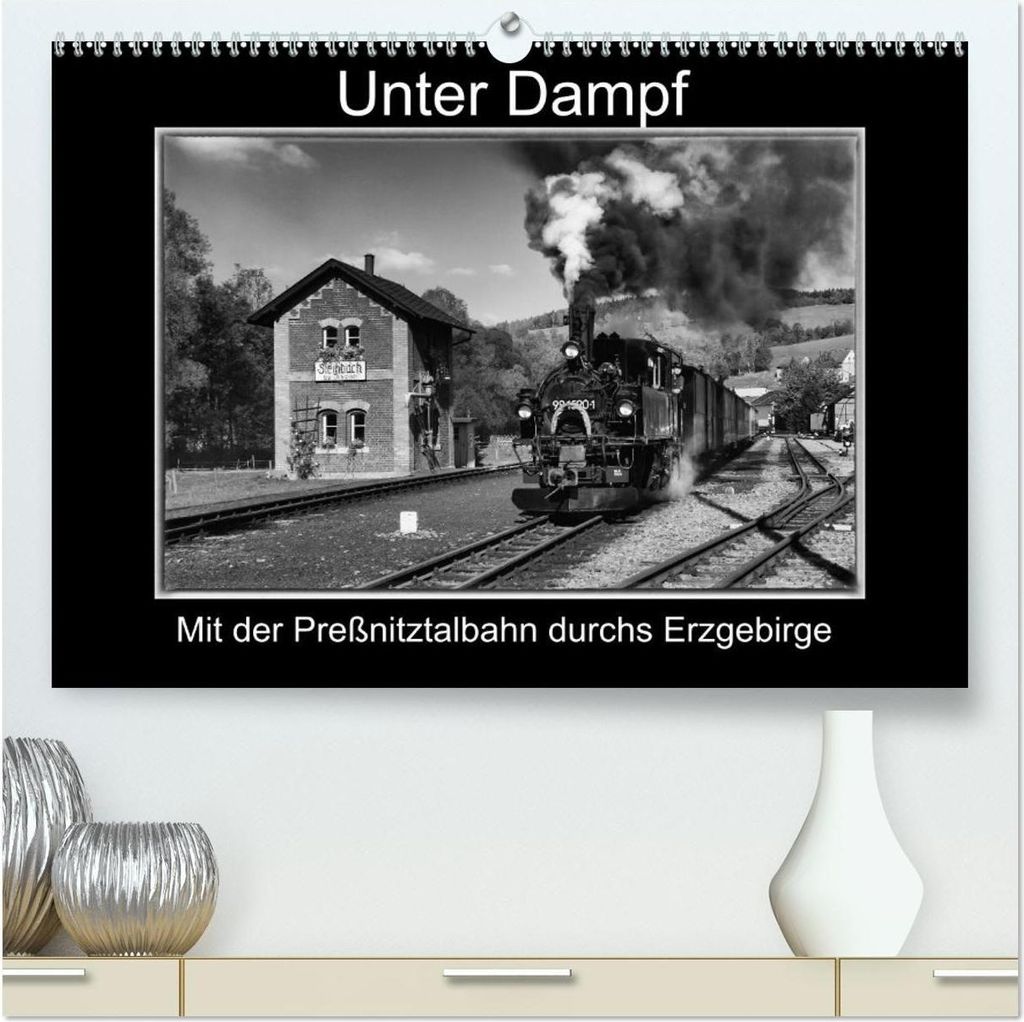 Unter Dampf - Mit der Preßnitztalbahn durchs Erzgebirge (hochwertiger Premium Wandkalender 2026 DIN A2 quer), Kunstdruck in Hochglanz