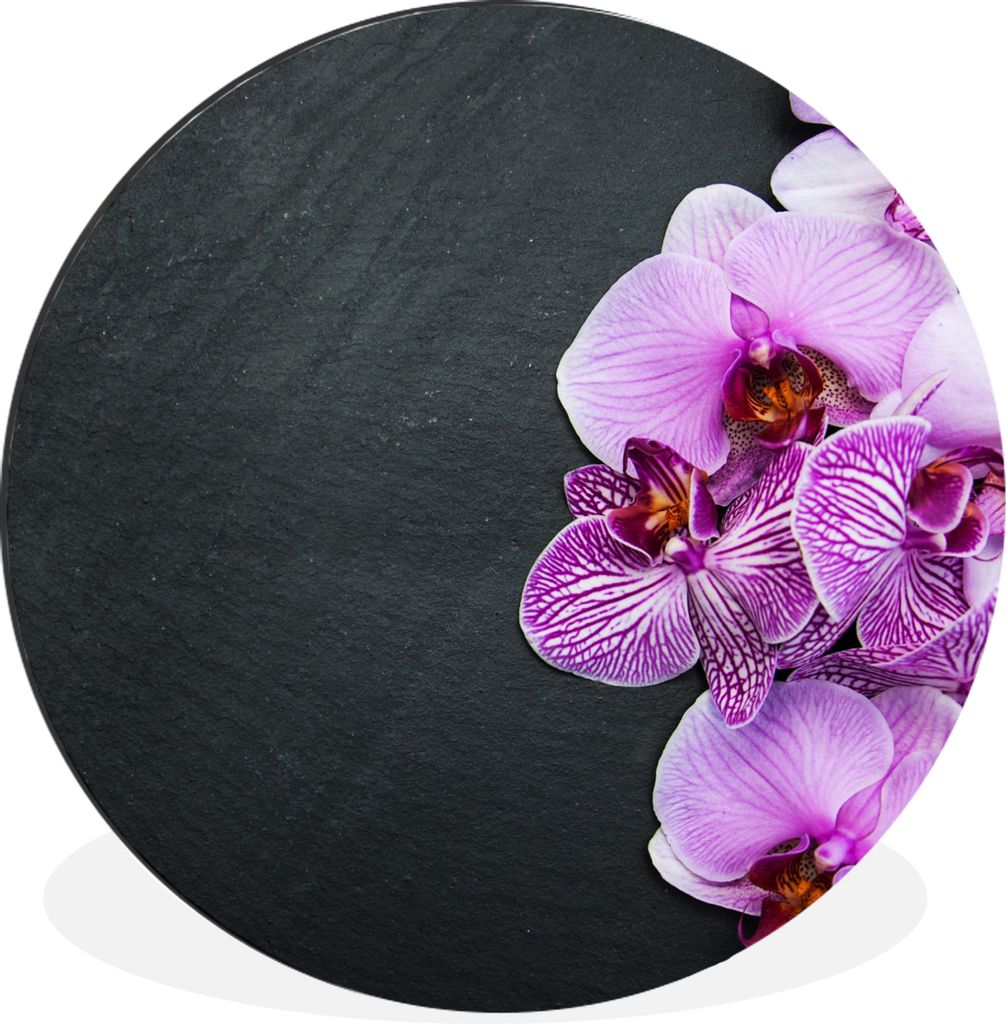 MuchoWow Aluminium Wandkreis Orchidee - Blumen - Rosa - Flora Ø 90 cm Wanddeko Modern Wohnzimmer - Mauerkreis - Wandbilder - Runde Bild - Bild a...
