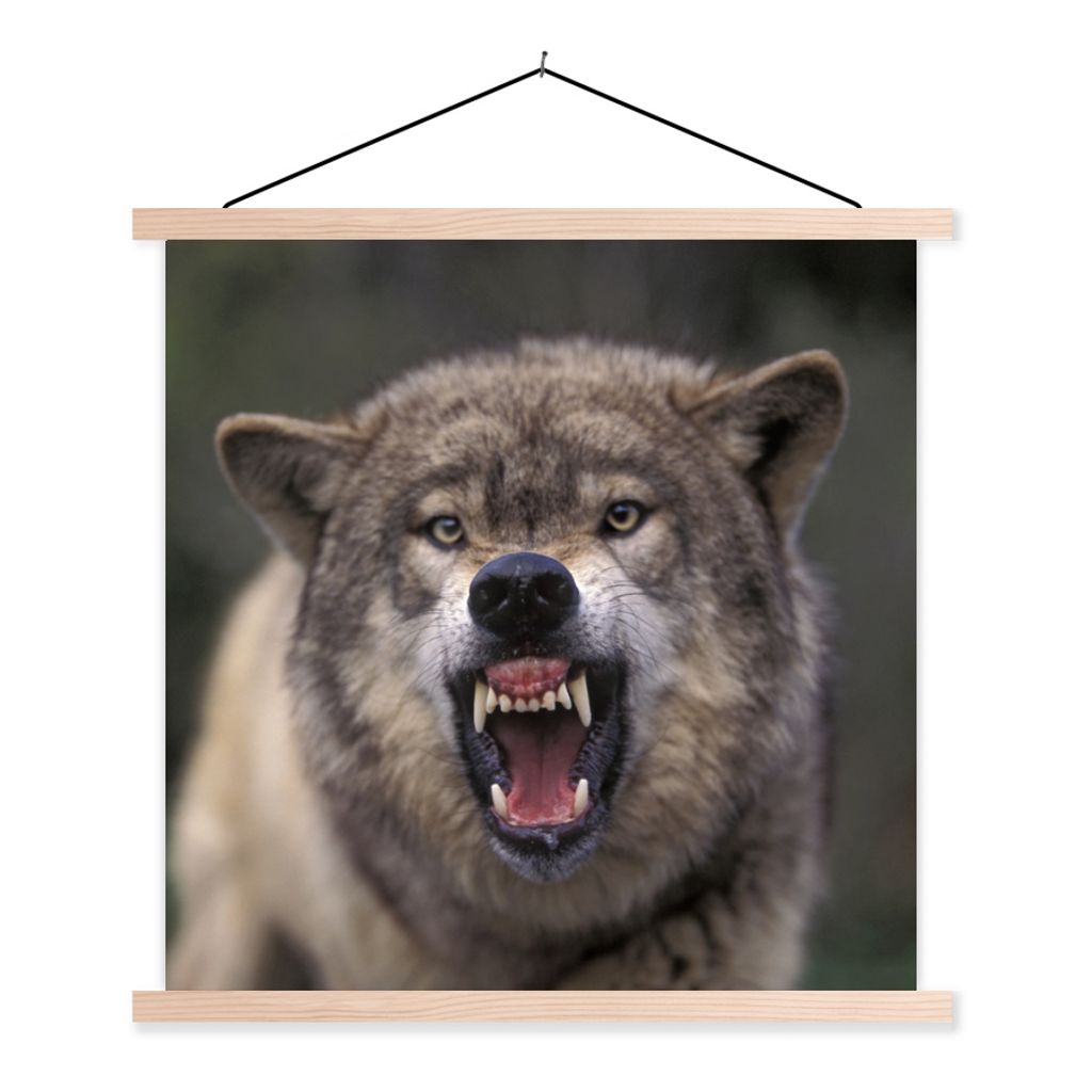 MuchoWow Textilposter Wolf - Maul - Zähne 120x120 cm mit holzfarbenen Rahmen - Textil-Poster