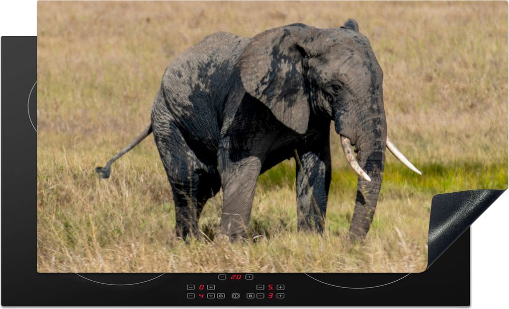 KitchenYeah Herdabdeckplatte Elefant - Gras - Tiere - Natur , 89x51cm, Küche Deko, Glaskeramikfeld Herdabdeckung, Abdeckplatte fùr Kochfeld