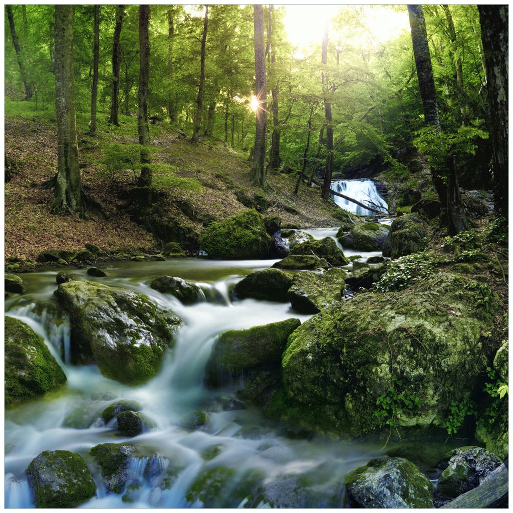 Wallario Wandbild aus Acryl, 50 x 50 cm, freischwebende Optik - Fließender Bach im Wald bei Sonnenuntergang