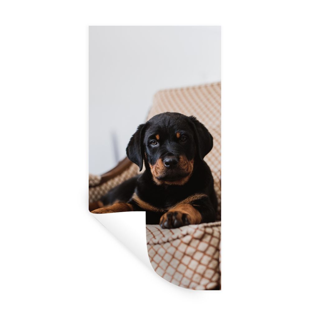 MuchoWow Wandtattoo Wandsticker Wandaufkleber Niedlicher Rottweiler-Welpe sitzt auf einem Stuhl 60x120 cm Selbstklebend und Repositionierbar - Se...