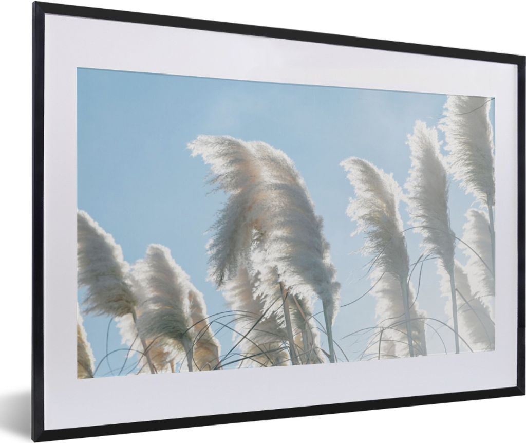 MuchoWow® Gerahmtes Poster Himmel - Gras - Pampasgras 60x40 Produktbild 