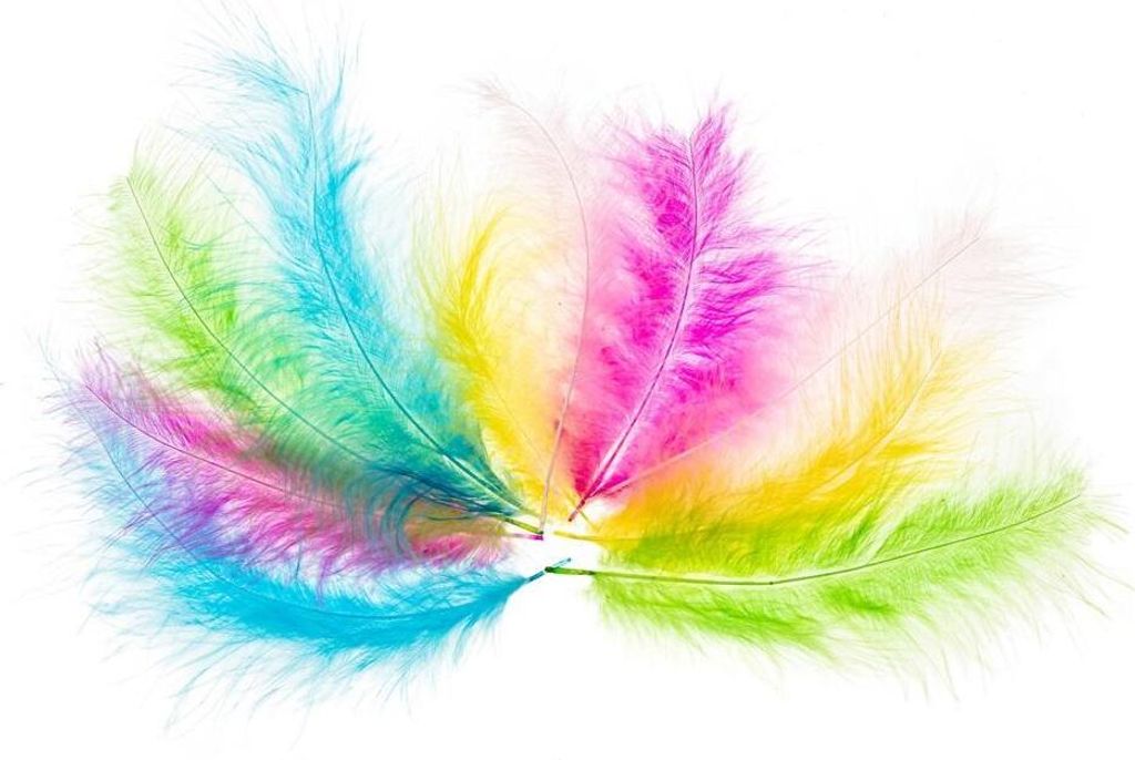 Piórka indycze 10-15cm pastelowe