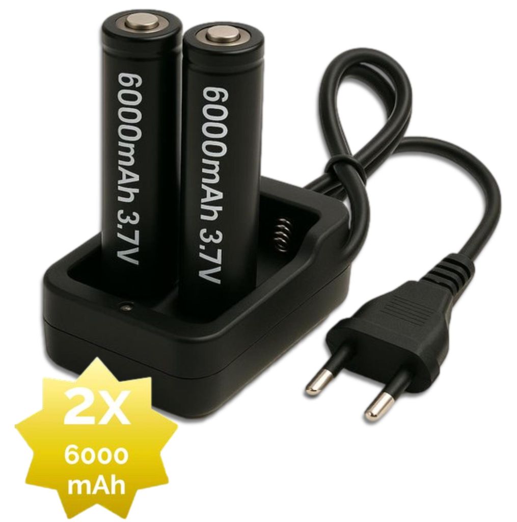 2 x 18650 lithium-ion batterijen met netvoeding oplader - Productafbeelding 