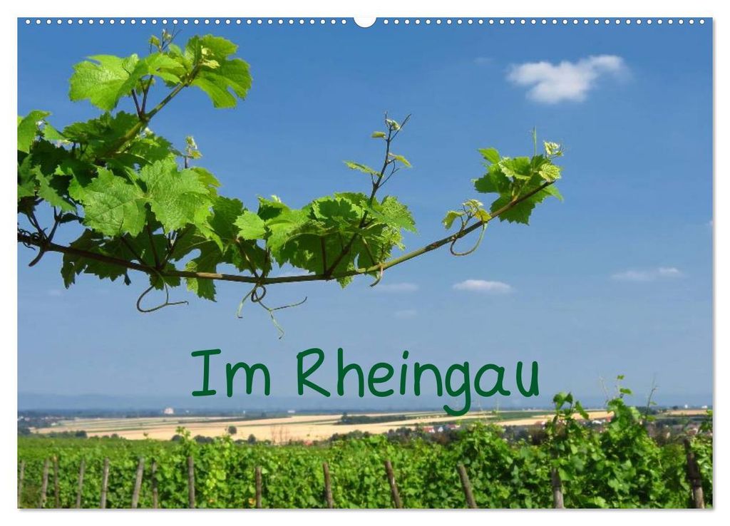 Im Rheingau (Wandkalender 2027 DIN A2 quer), CALVENDO Monatskalender