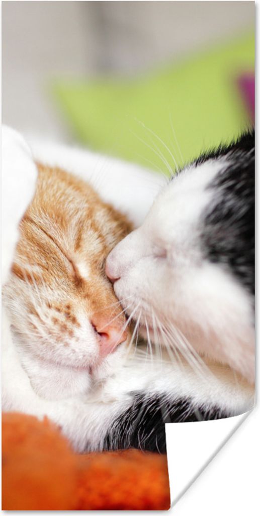 MuchoWow Poster Katzen - Kuscheltier - Animal Day 75x150 cm - Dekoration für die Wände