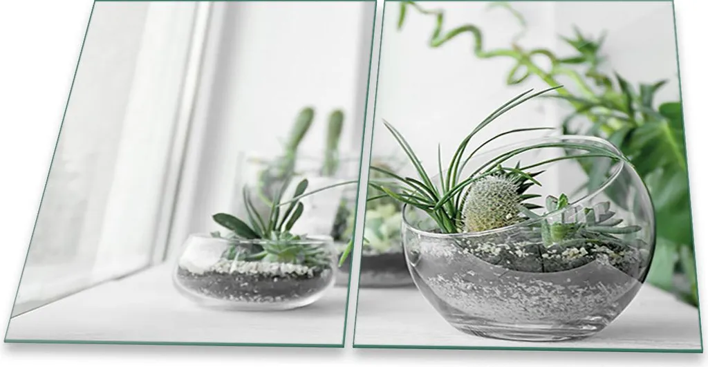 Coprifornelli in Vetro 2 Pezzi 40x52 cm Universale Piante Verdi - Prezzo Speciale