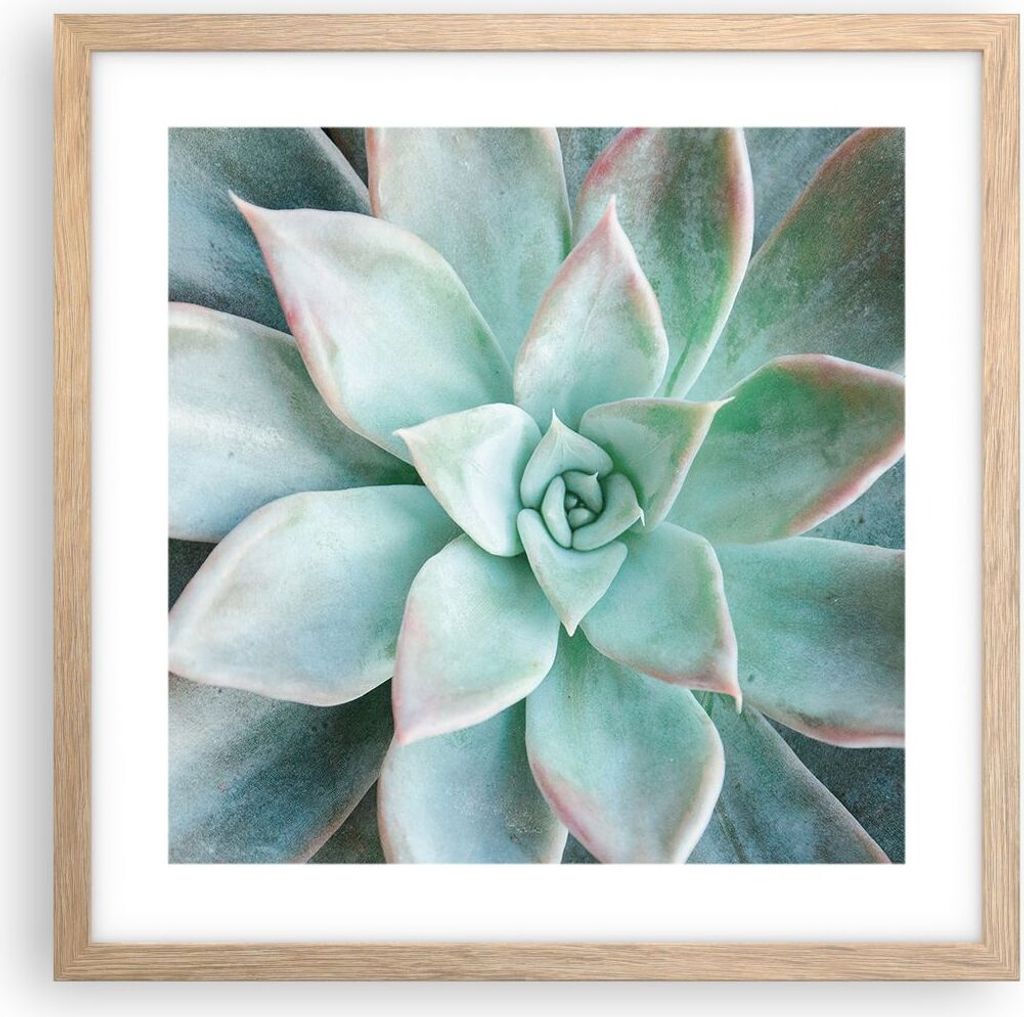 Gerahmtes Poster - Rahmen in heller Eiche - Blau Blätter Agave - 40x40 cm - Wand Bild - Wanddeko - Wandbilder - Kunstposter - Wandposter - Bilderr...