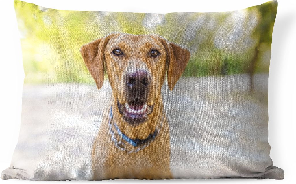 MuchoWow Outdoor Kissen - Labrador Retriever draußen - 50x30 cm - Wetterfest - Lounge Kissen - Sofa kissen - Wohnzimmer Dekoration