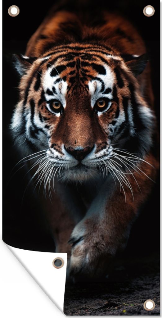 MuchoWow 40x80 cm Outdoor-Poster Gartendeko Sichtschutz Garten Poster für den Garten Tiere - Tiger - Schwarz - Wild - Porträt