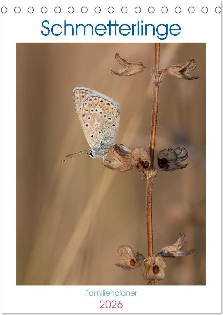 Schmetterlinge in Bayern (Tischkalender 2026 DIN A5 hoch), CALVENDO Monatskalender