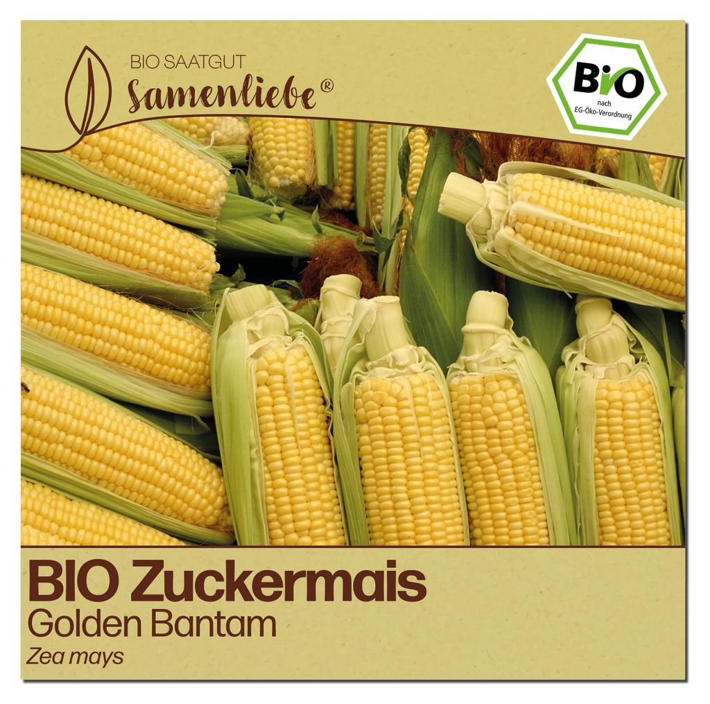 Samenliebe Zuckermais Samen | Golden Bantam - süß - samenfestes Saatgut