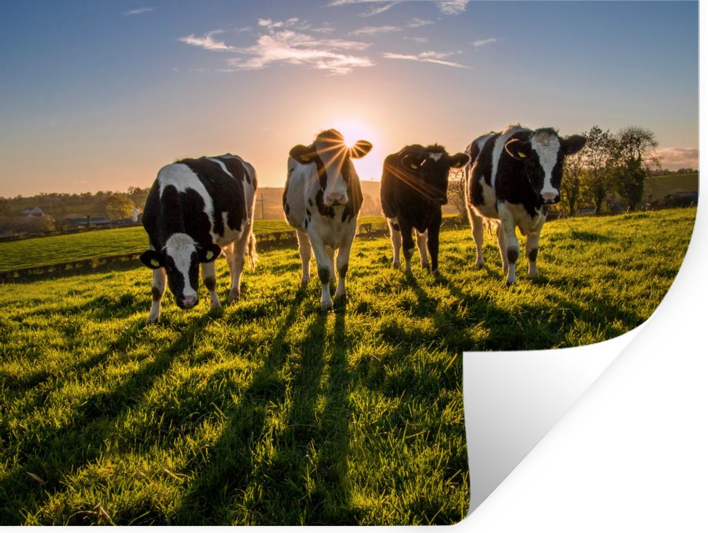 MuchoWow - Faltenfrei