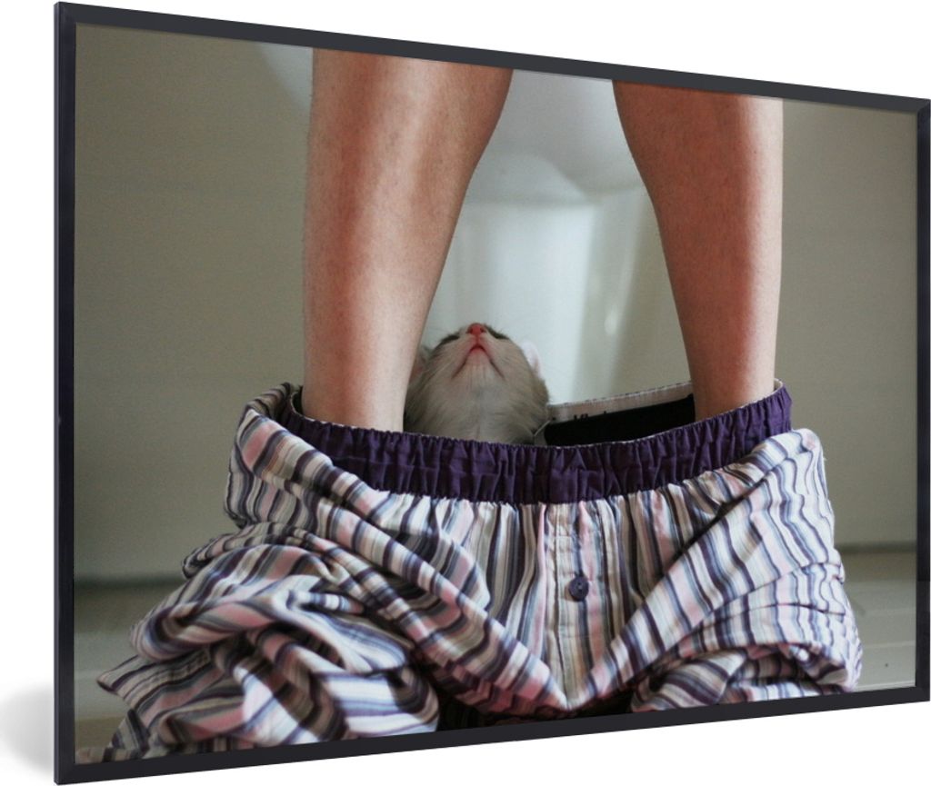 MuchoWow MuchoWow Gerahmtes Poster Katze - Hose - Toilette 90x60 cm - Poster mit zchwarzem Bilderrahmen - Fotorahmen - Foto-Plakat