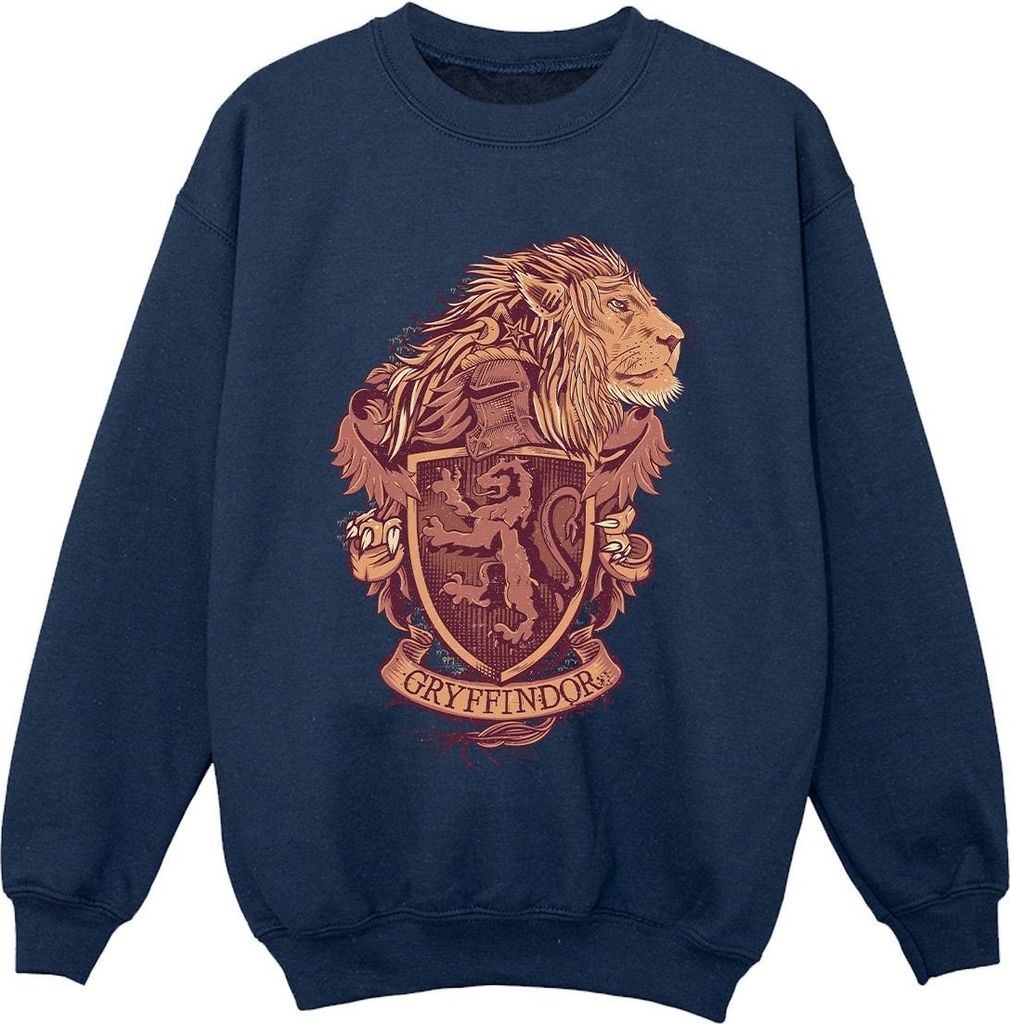 Harry Potter - "Gryffindor" Sweatshirt für Jungen BI20489 (152-158) (Marineblau)
