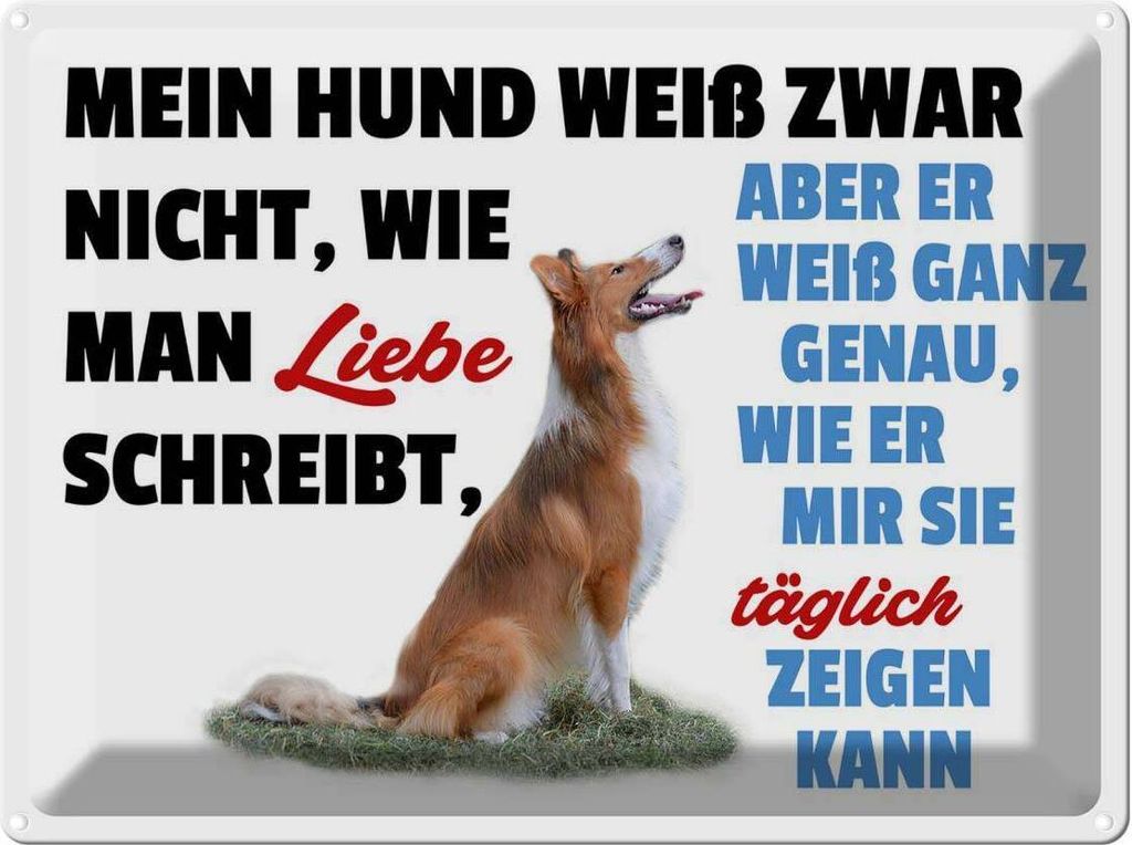 vianmo Blechschild 30x40 cm mein Hund weiß zwar Hundeliebe