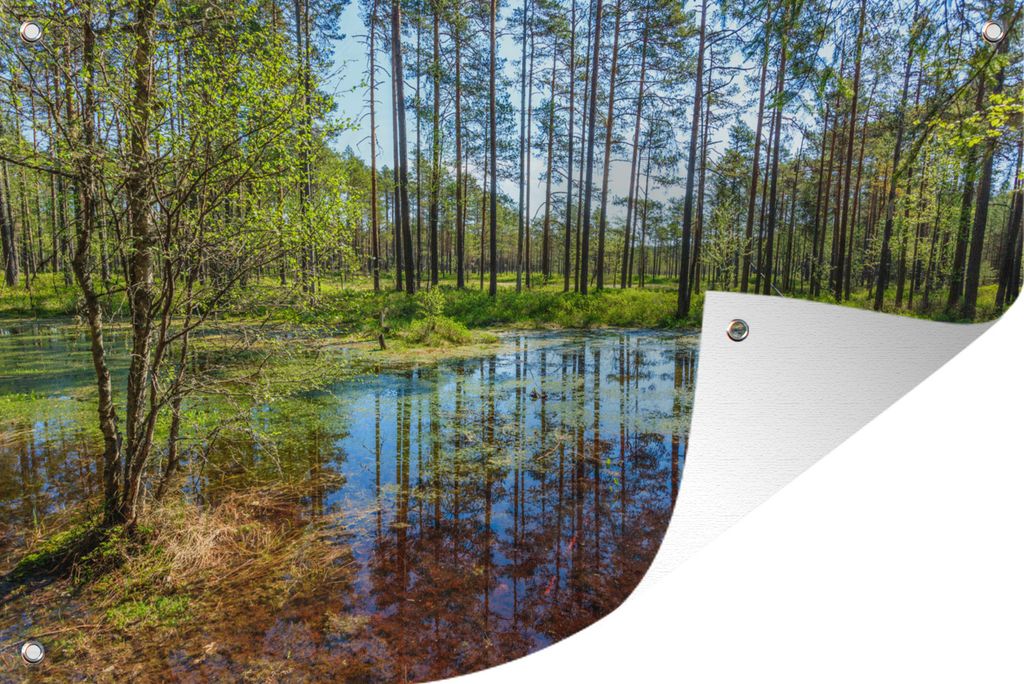 MuchoWow 90x60 cm Outdoor-Poster Gartendeko Sichtschutz Garten Poster für den Garten Grüne Bäume im Sumpfgebiet des Lahemaa-Nationalparks in ...