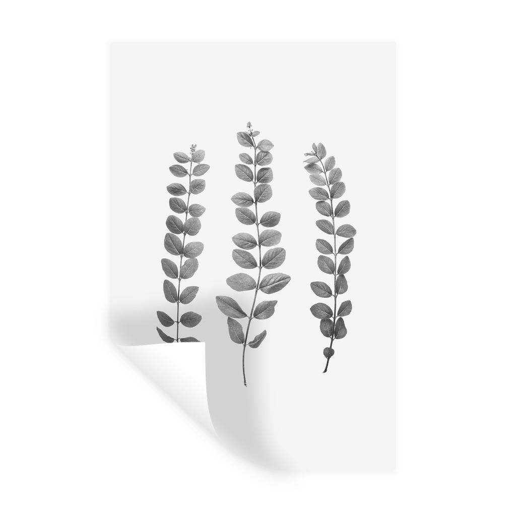 MuchoWow Wandtattoo Wandsticker Wandaufkleber Pflanzen - Blätter - Natur - Weiß 60x90 cm Selbstklebend und Repositionierbar - Sticker - Dekorfolie