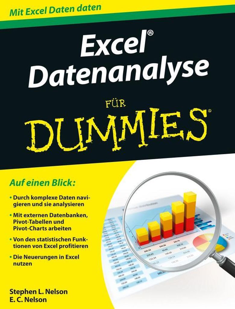 Excel Datenanalyse für Dummies