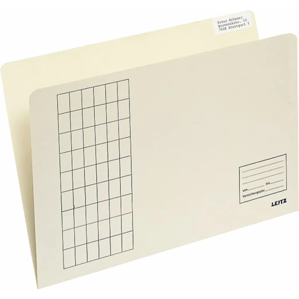 Recensione Leitz 2433 Organizzatore Kraft: Il Re della Scrivania