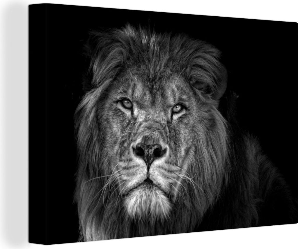 OneMillionCanvasses - Leinwandbilder - 140x90 cm, Nahaufnahme eines Löwen auf dunklem Hintergrund - schwarz und weiß, Wandbilder Kunstdruck Wan...