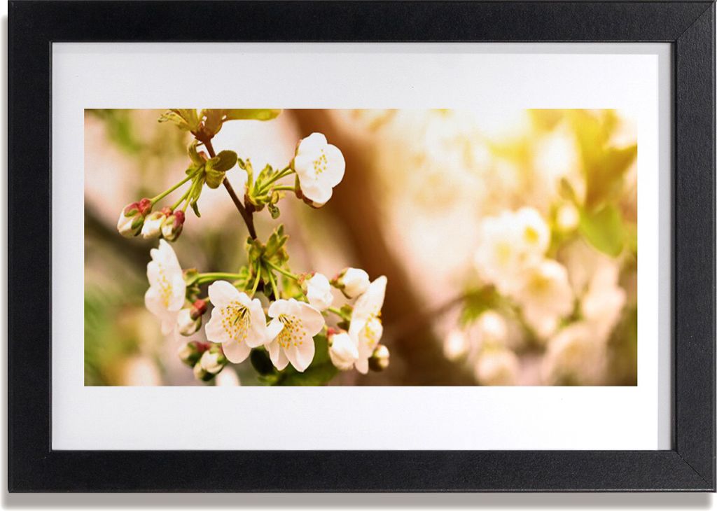 Bild 30x20 MDF-Rahmen Wandkunst Blumen Pflanzen Natur